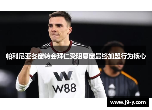 帕利尼亚冬窗转会拜仁受阻夏窗最终加盟行为核心
